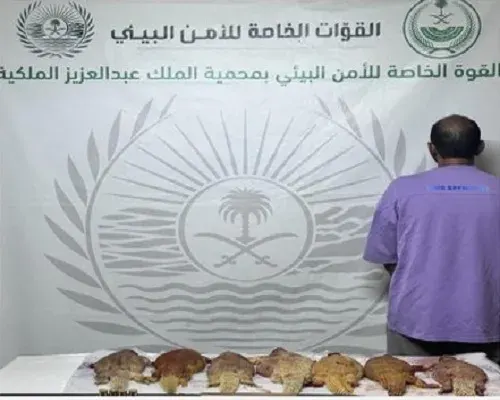 تشهير.. فهد العميري يصطاد بدون ترخيص في المدينة