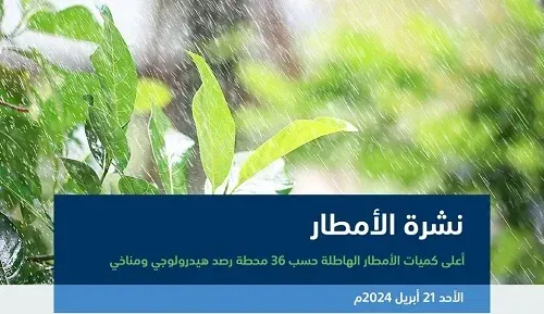 5 مناطق تسجل هطول أمطار في 36 محطة.. وعسير تتصدر بـ 32 ملم