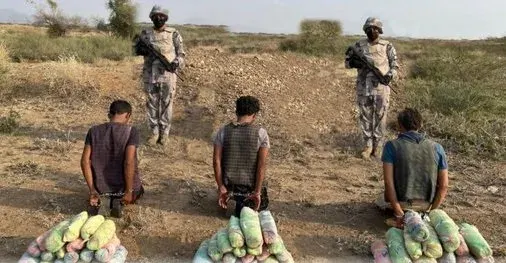 تم القبض.. 235 كيلو قات و 3 مهربين في جازان