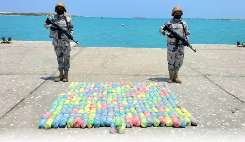 في يوم العيد.. حرس الحدود يحبط تهريب 480 كيلو قات