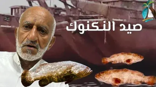 النكنوك.. طفل الهامور.. لا تصطادوه ولا تشتروه..!