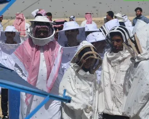 القطيف.. 40 نحالاً يحيون اليوم العالمي للنحل