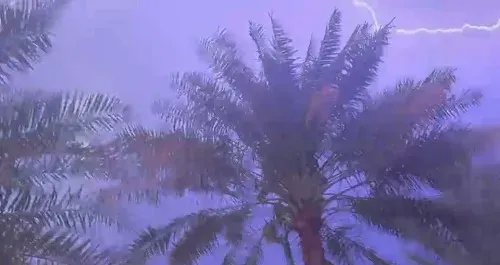 التوقعات صدقت.. هجمة مطر.. والأمهات يتساءلن عن الدراسة غداً