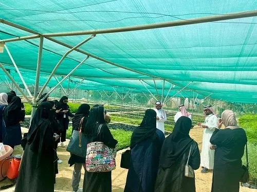 مبادرة بيئتي خضراء في أمانة الشرقية