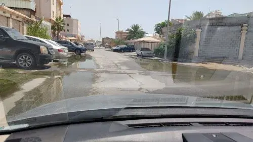 “الوايتات” لا تُصلح ما أفسدته المستنقعات في حي المروج