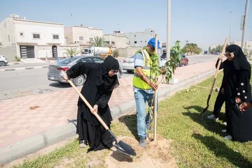 متطوعون تحت شمس مايو من أجل “القطيف خضراء”