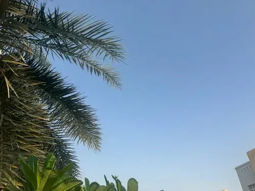 الشرقية.. سماء صافية ودرجة حرارة تصل إلى 42 مئوية
