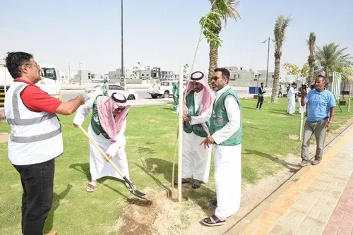خلال شهر.. المتطوعون غرسوا 880 شجرة في القطيف