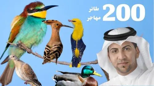 القطيف تستضيف أكثر من 200 طائر مهاجر في السنة
