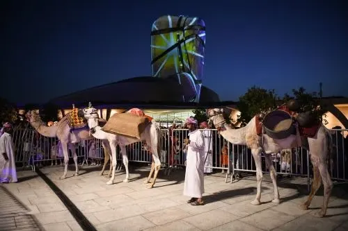 قوافل جمال الحجاج في “إثراء”.. و76 ألف زائر يشهدون “عيد أضحى”