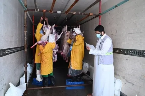بر الشرقية: 62 متطوعاً وزعوا 28 طن لحوم أضاحي على المستحقين