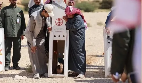 تدشين أول مجلس إشرافي لمحمية الوعول