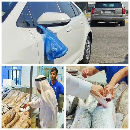 يشترون السمك طازجاً ويتركونه “يخيس” على مرآة السيارة