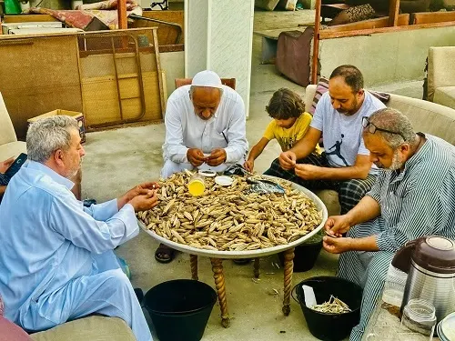 بامية