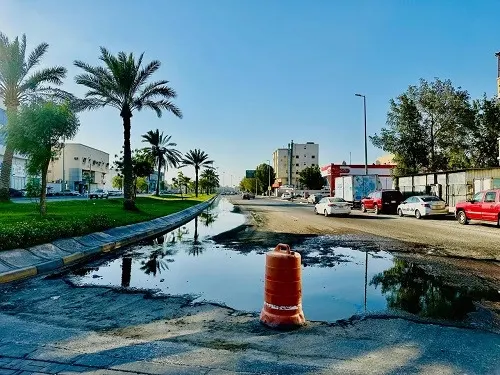 فيديو] مستنقع طحالب شارع الملك فيصل.. من يهتم..؟