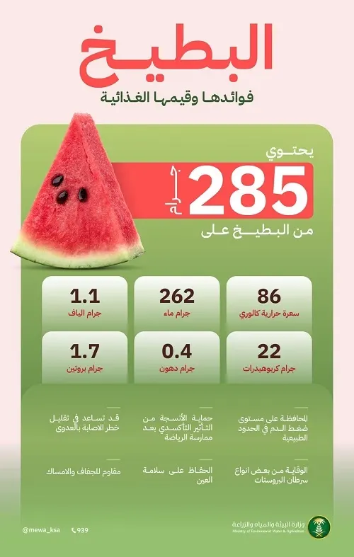 البطيخ.. 285 جرامًا يحتوي على 262 جرامًا من الماء و86 سعرة حرارية