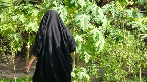 فيديو] الحاجة خديجة لاشط: موسم الرطب صار خربطة أوانات