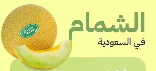 55.4 ألف طن سنوياً.. اكتفاء ذاتي من الشمام في السعودية