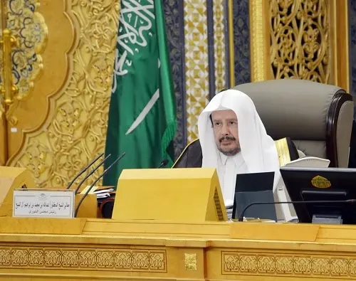 “الشورى” لـ “البلدية والقروية”: ادرسوا أسباب تدهور الطرق في الأحياء