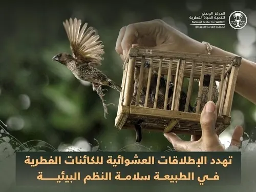 100 ألف ريال.. غرامة إطلاق الكائنات الفطرية بشكل عشوائي