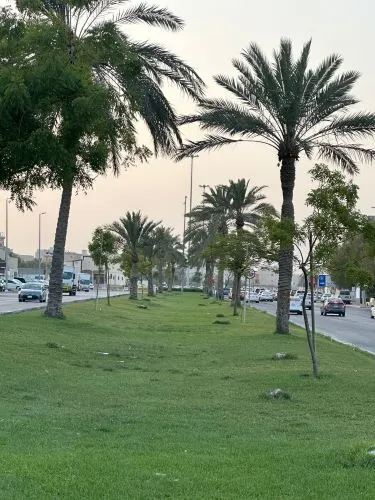 فيديو] اختفاء “طحالب” شارع الملك فيصل.. وظهور حفر