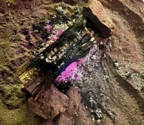 القبض على مشعل النار في طبيعة عسير و مجرف التربة في تبوك