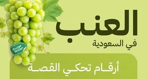 عنب الشرقية 388 طناً.. من أصل 110.5 آلاف طن سعودياً