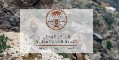 برنامج لنقل الخبرات بين إدارات “الحياة الفطرية” و”المحميات”