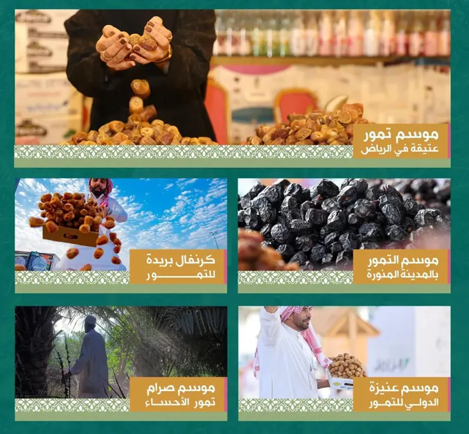 محصول الخير.. انطلاق “مواسم تمورنا” فى المحافظات