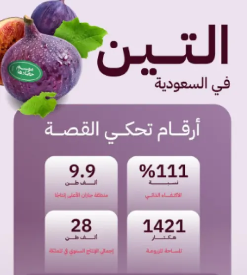 السعودية تكتفي ذاتياً من التين بنسبة 111%