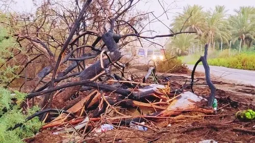 التوبي.. حريق حشائش يستنفر الدفاع المدني