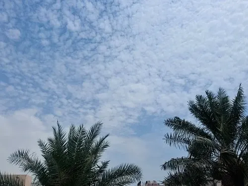 الطقس.. أجواء لطيفة وأقل حرارة في القطيف