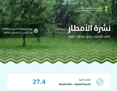 بـ 37.4 ملم.. المدينة تسجّل أعلى معدلٍ لهطول الأمطار