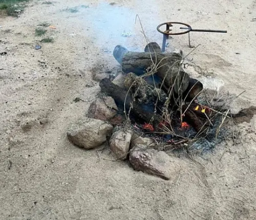 عسير.. ضبط مخالف أشعل النار في أراضي الغطاء النباتي