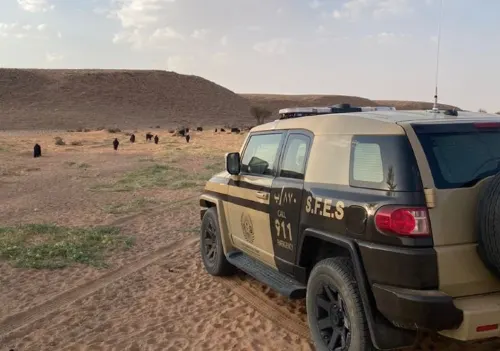 ضبط سوداني يرعى 60 رأساً من الأغنام بمحمية الملك سلمان