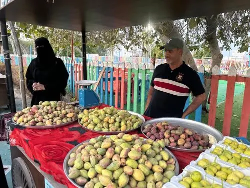 شُبّان في القطيف يواجهون “مافيا اللوز” في منافسات “التضمين”