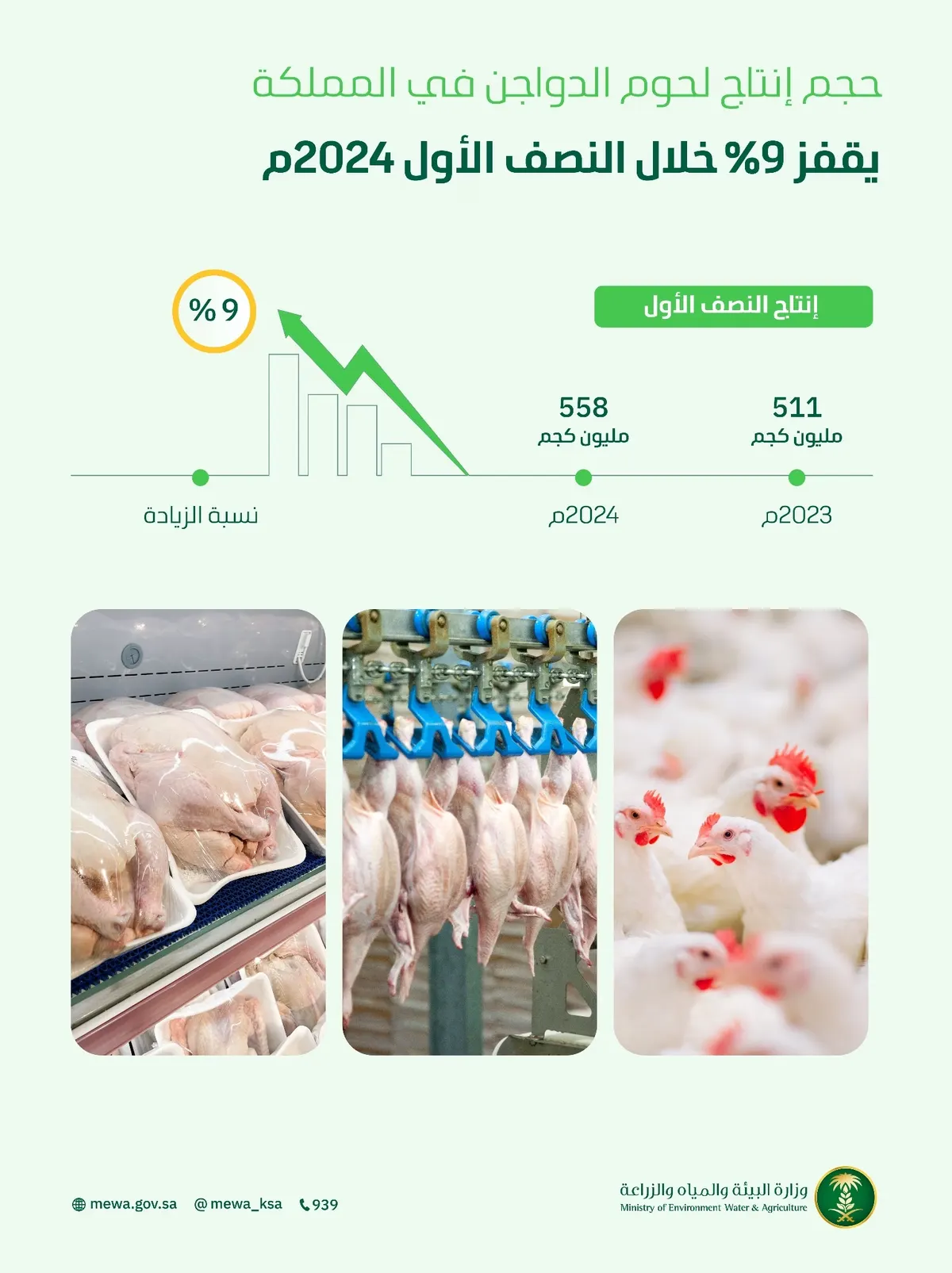 قفزة جديدة.. ارتفاع إنتاج لحوم الدواجن إلى 558 مليون كيلو في 6 أشهر
