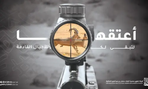 “محمية الملك سلمان” تتصدى للصيد الجائر بحملة “أعتقها”