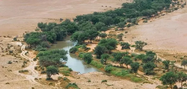 محمية الملك عبدالعزيز الملكية تحظر الصيد ضمن نطاقها