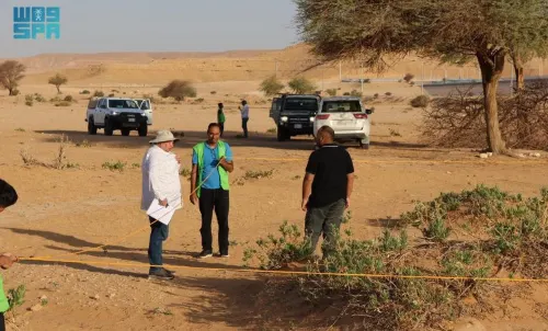 بدء المرحلة الثانية من تقييم النباتات الغازية في السعودية