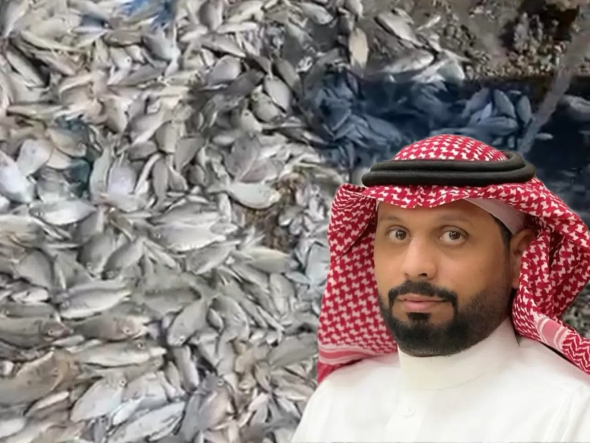 تحرُّك عاجل لمعرفة أسباب نفوق أسماك في شاطيء القطيف