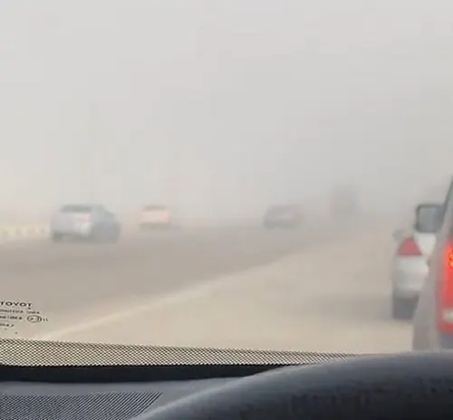 صور] ضباب الشرقية