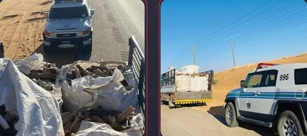 تم القبض.. 4 تجار حطب ومستغلي رواسب في الجوف و عسير والمدينة