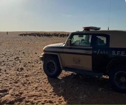 القبض على راعي أغنام مخالف في محمية الملك سلمان الملكية