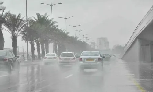 الأرصاد: استمرار هطول الأمطار الرعدية على 10 مناطق