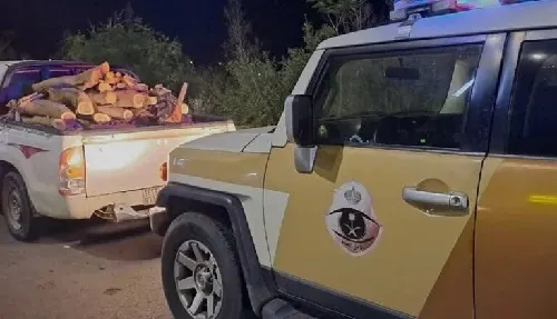 الشرقية.. ضبط مواطن بحوزته حطب محلي معروض للبيع
