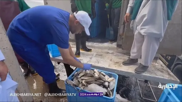 فيديو] إحباط تسويق 9 أطنان أسماك فاسدة في القطيف