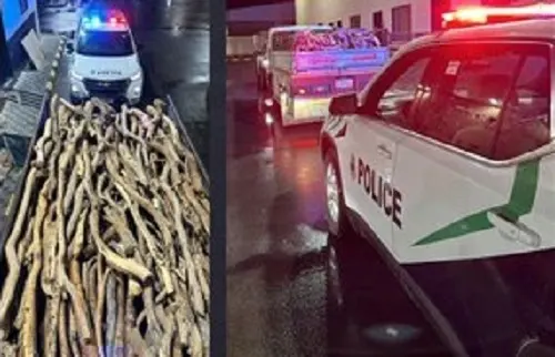 ضبط تاجر حطب في القصيم و ملوث التربة في المدينة