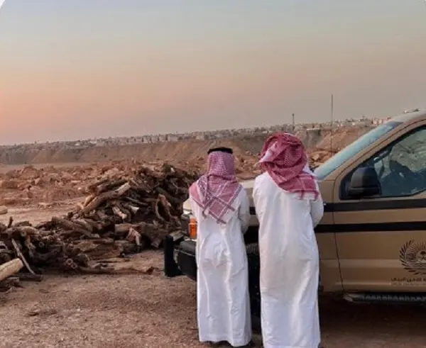 تم الضبط.. 8 مخالفين بنقل صخور ورعي إبل و تخزين حطب