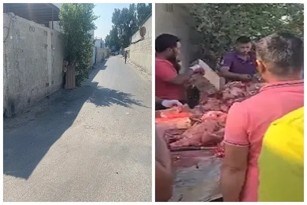 بلدية الدمام: فيديو الدجاج تعاملنا معه في وقته